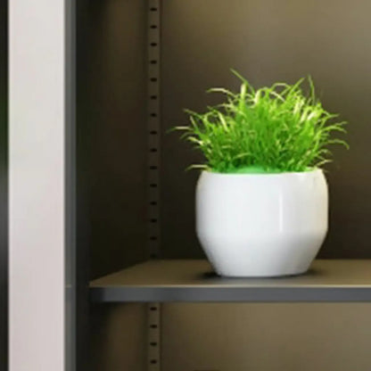 Vitrines modernes en acier coloré pour toilettes