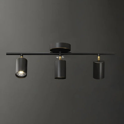 4 spots lumineux dorés sur rail avec têtes orientables