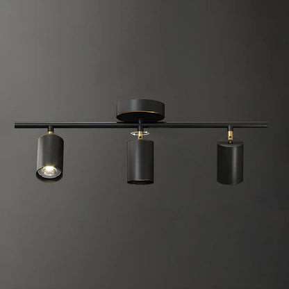 4 spots lumineux dorés sur rail avec têtes orientables