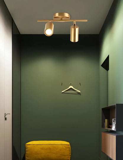 4 spots lumineux dorés sur rail avec têtes orientables